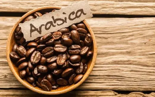 [A1-DG] test Arabica - A1